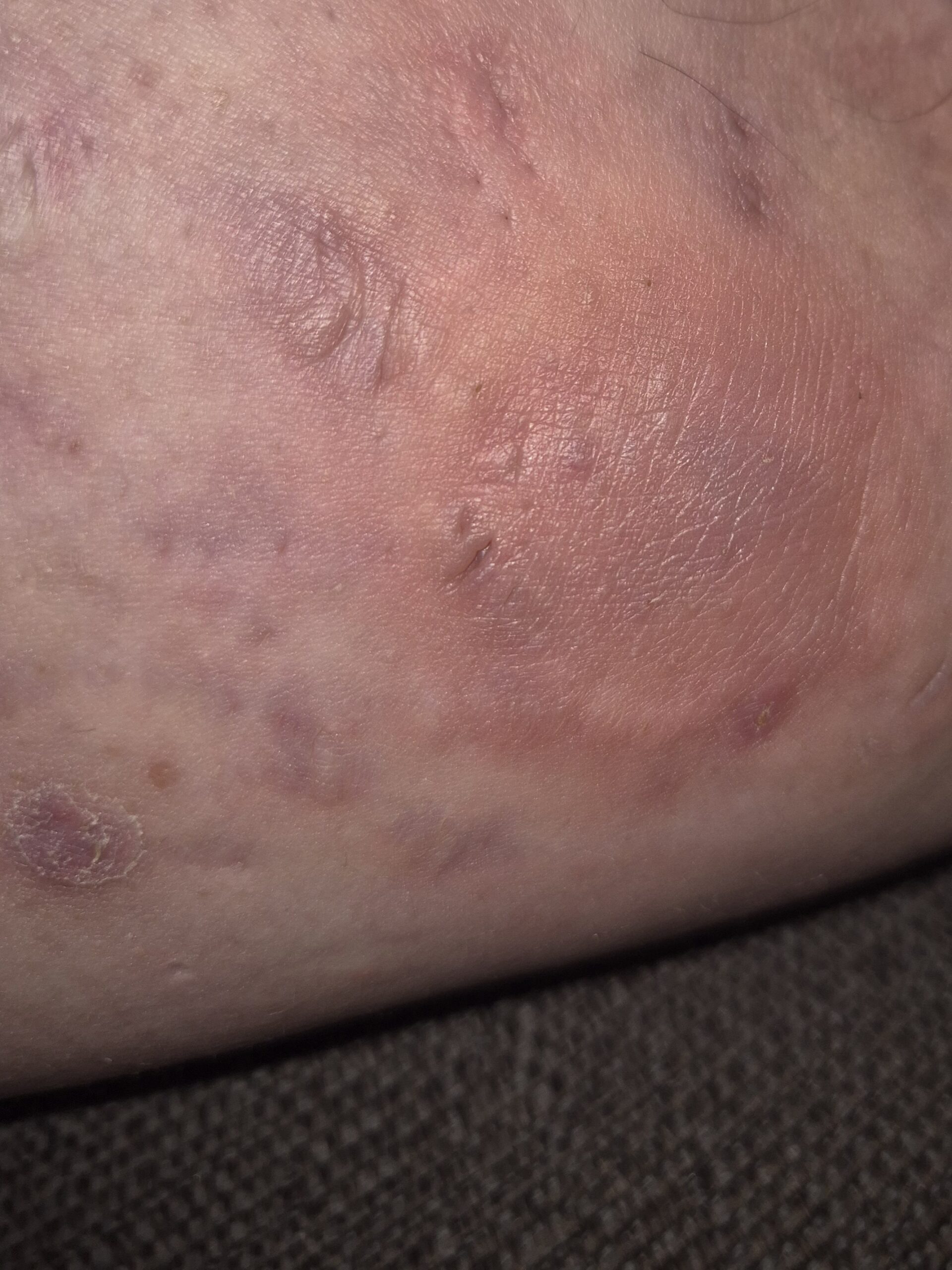 20250901 004625 lauren bushnell