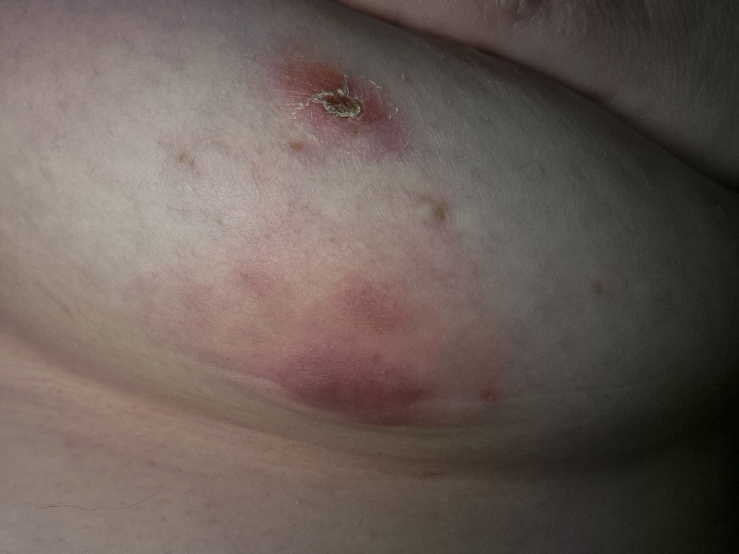 20251029 185201 lauren bushnell