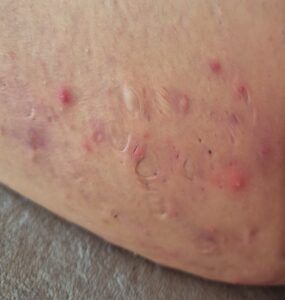 img 20250802 wa0069 lauren bushnell