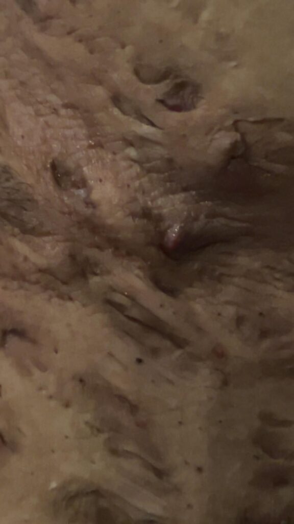 A collection of graphic images showing the reality of Nat