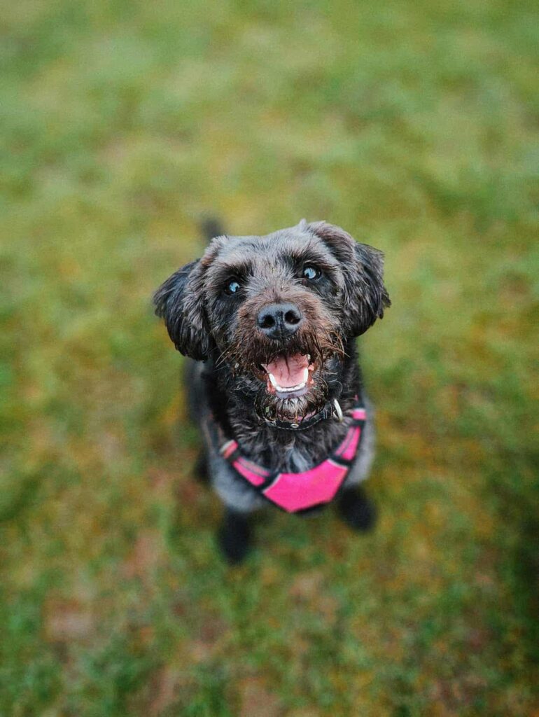 Sammi's Story: "It's Okay to Ask for Help" Sammi