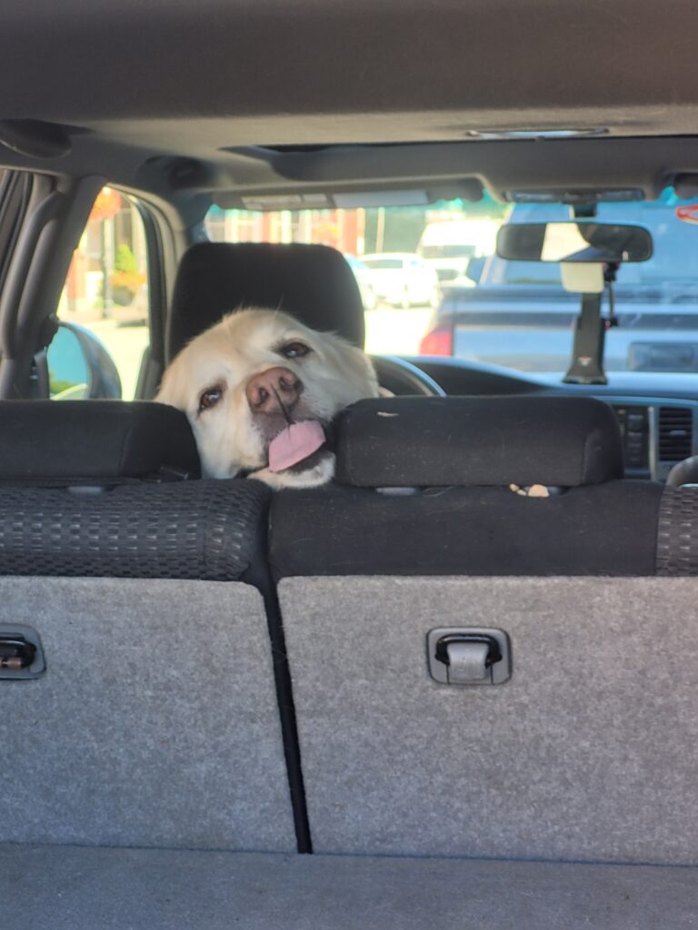 Taylor's Story: Turning Pain Into Purpose 20220908 122154 taylor reslow