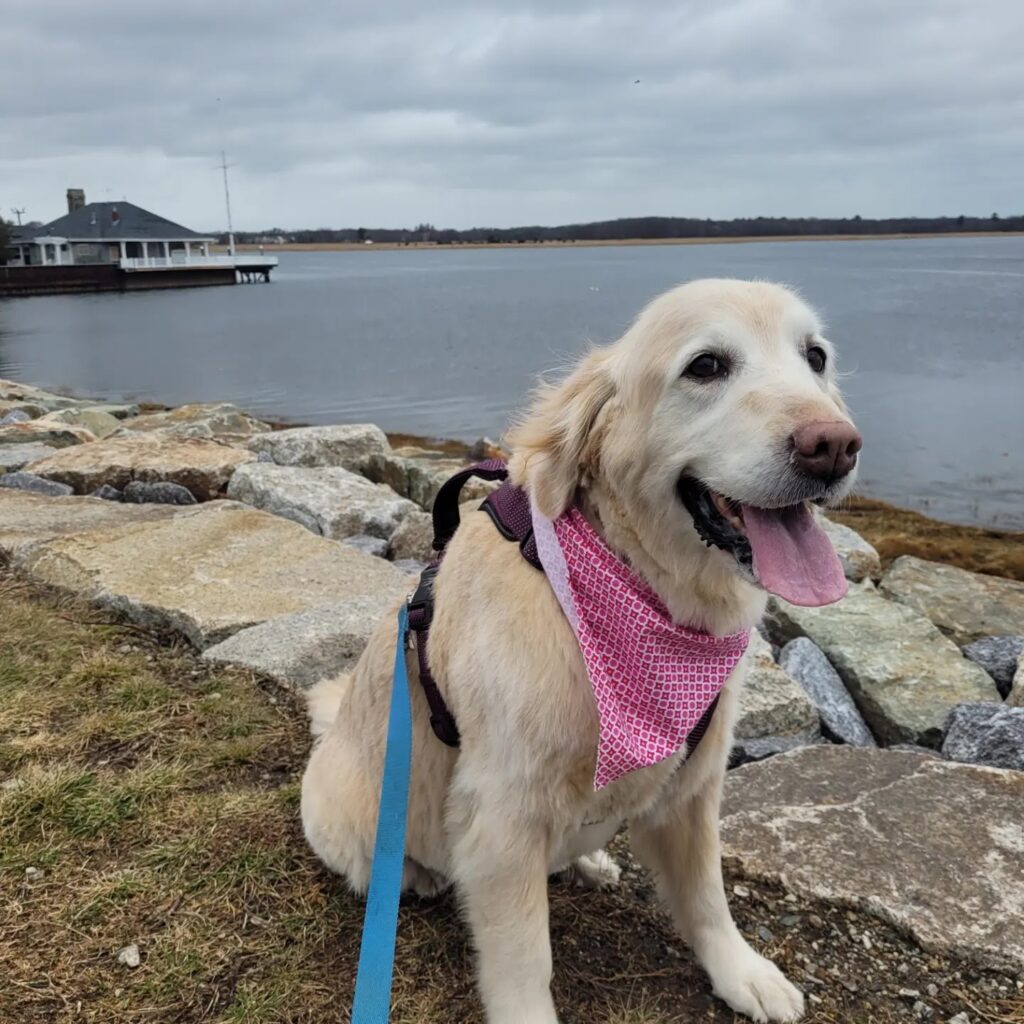 Taylor's Story: Turning Pain Into Purpose img 20230502 125631 907 taylor reslow